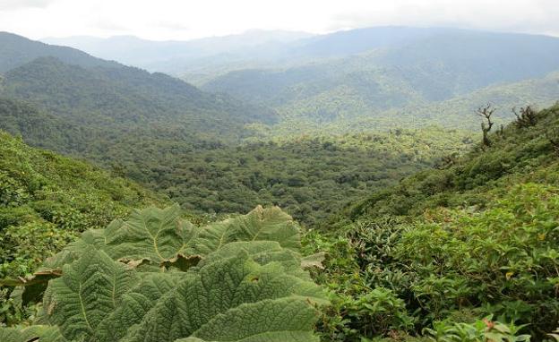 Costa Rica./