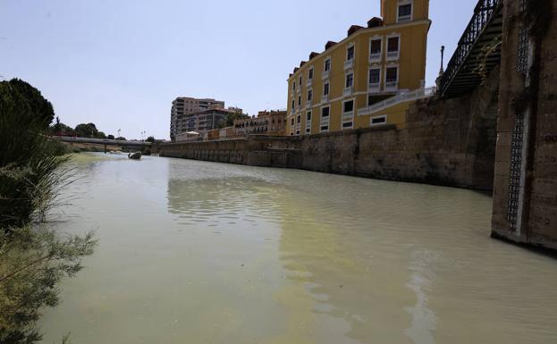 Imagen del río, este sábado, cubierto por una mancha verdosa.
