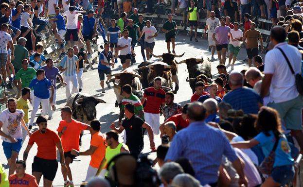 Segundo encierro de las Fiestas de Calasparra.