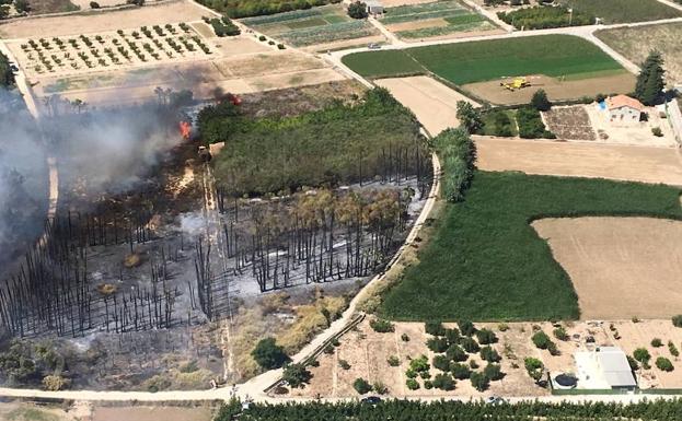 Imagen de la zona calcinada.
