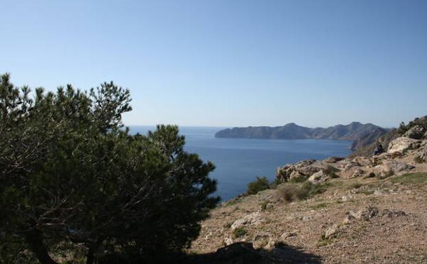 Cabo Tiñoso, desde el mirador del Roldán.