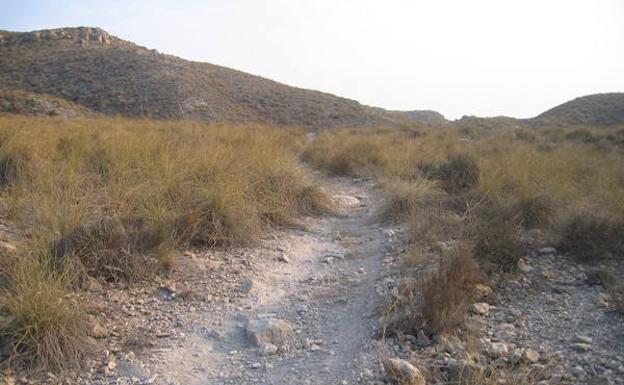 Un tramo del sendero, a través de la ladera norte.