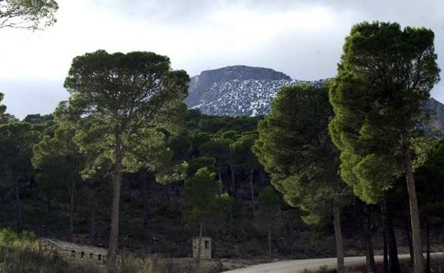 Sierra del Gigante cubierta de nieve, una estampa frecuente en invierno.