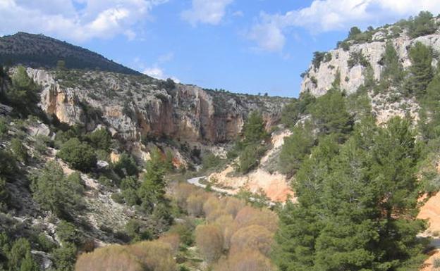 El camino discurre rambla arriba, paralelo al cauce de agua./