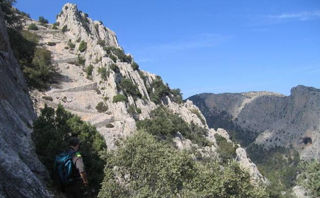 Zig-zag de piedra. Un agente medioambiental del Parque Regional de Sierra Espuña al pie de Las Escalerillas. Al fondo, a la derecha, las paredes del Valle de Leyva./