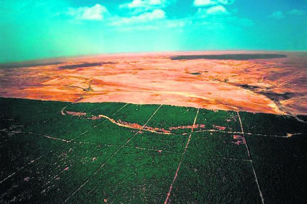 Vista aérea de un tramo del Sahel en el que se aprecia el desierto del Sáhara, al norte, y el dique verde transcontinental, al sur./R. C.
