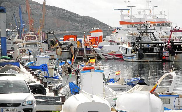 Parte de los barcos pertenecientes a la Cofradía de Pescadores de Cartagena, ayer amarrados por el temporal./Pablo Sánchez / AGM