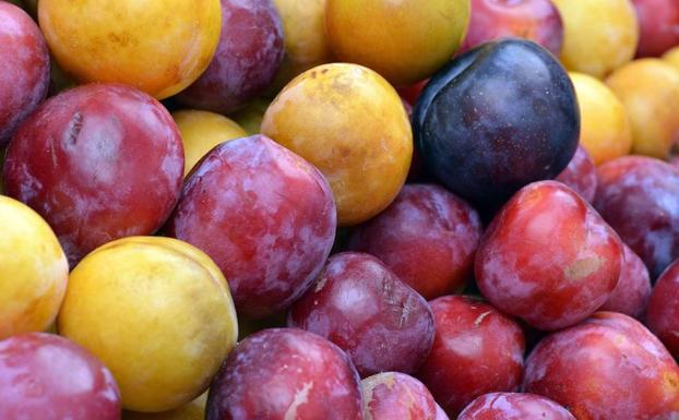 Año hortofrutícola «difícil y complicado» con fuerte competencia exterior