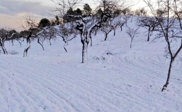 Nieve en Zarzadilla de Totana, este domingo. /Rafael González Martínez