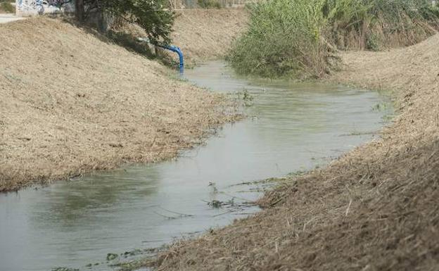 Río Segura, a su paso por la Ribera de Molina, en una foto de archivo. /Javier Carrión / AGM