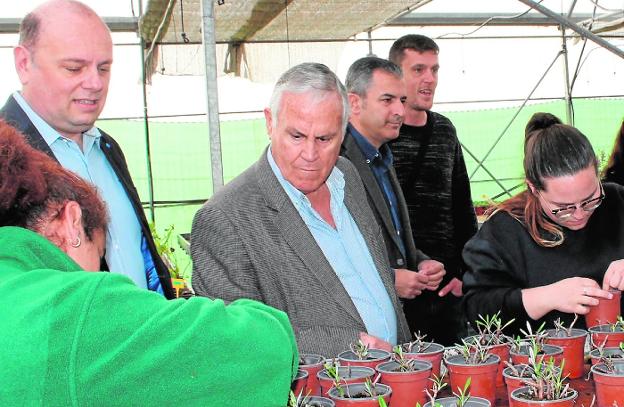 Usuarias de Fundown preparan las plantas en las instalaciones de su centro de empleo./Proexport