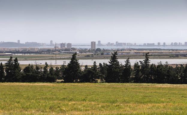 La CHS ya ha sancionado casi la totalidad del riego ilegal en el entorno del Mar Menor