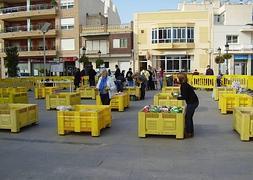 Recolecta de alimentos.:: Ayto. Torre Pacheco/