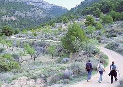 Senderistas por un paraje de Sierra Espuña. :: Guillermo Carrión/AGM/