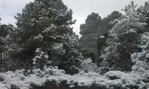 Nieve en el campo de Caravaca. | Foto: @TeTeThomas/