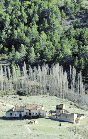 Vista de Hondares de Arriba, situado junto al nacimiento del arroyo de Hondares y una enorme chopera./