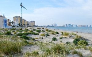 Uno de los arenales que Anse pide comprar en la zona norte de La Manga. ::
LV/