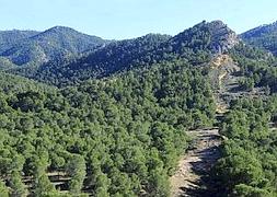 Panorámica del Parque Regional del Valle-Carrascoy, donde la asociación Ametse trabaja en un proyecto climático. :: VICENTE VICENS/AGM/