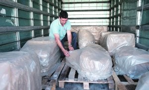 Los sarcófagos y fragmentos de columnas, envueltos en plásicos, ya en el camión de mudanzas. :: V. V./