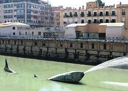 Monumento al Entierro de la Sardina, en el río Segura. :: Edu Botella/