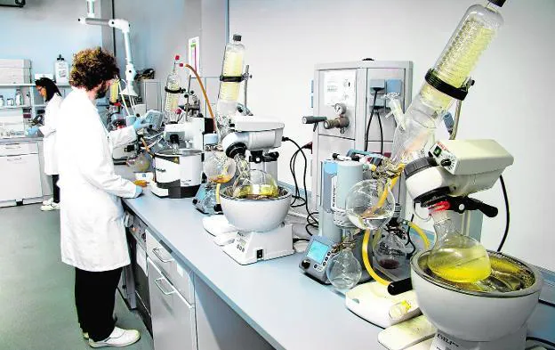 Varios Instalaciones dolor La industria química murciana logra sus mejores resultados en el exterior |  La Verdad