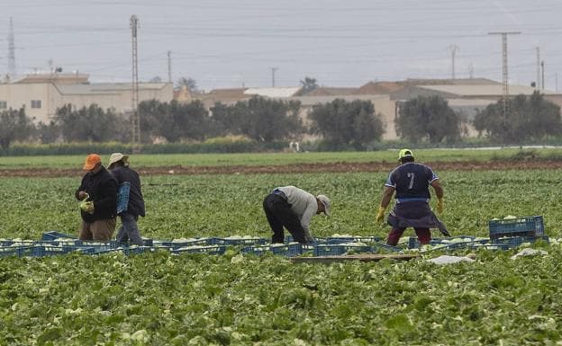 Trabajadores agrícolas, en una fotografía de archivo./J. M. Rodríguez / AGM