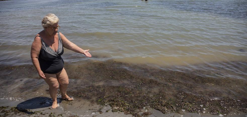 Vecinos de Punta Brava denuncian que las algas se pudren en la playa - Vimarsana News