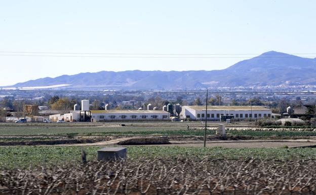 Farms in Lorca. 