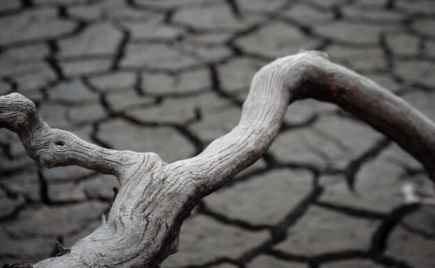 Drought is one of the phenomena that has caused deaths in Europe in recent decades.