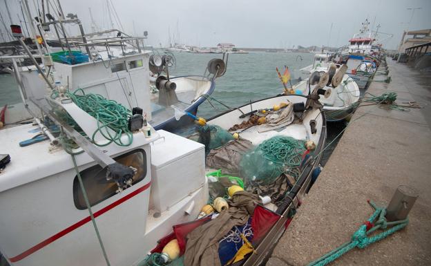Boats of the fishing fleet moored in the port of Lo Pagán, in San Pedro del Pinatar, yesterday. 