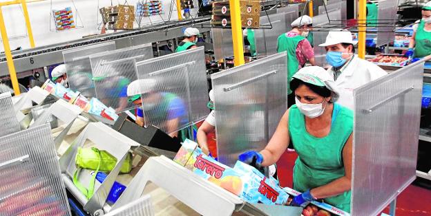 Workers wearing masks at the fruit and vegetable company El Torero, in Abarán, in May 2020. 