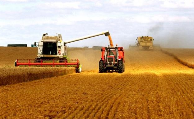 The cereal harvest will fall 21% in Spain