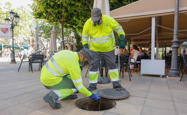 Action in the sewage network of Plaza de Calderón to control rodent and cockroach pests.