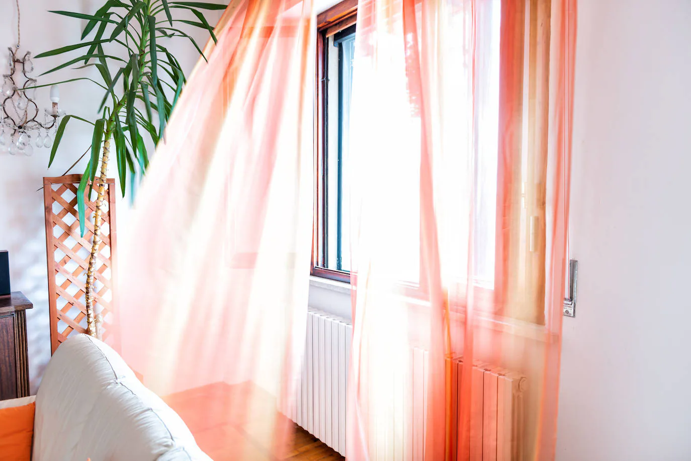 These are the alternatives to hang the curtains at home without drilling holes.