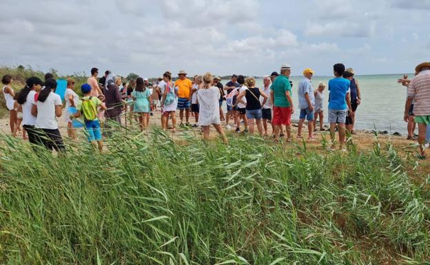 The neighbors together to the reeds of the beach. 