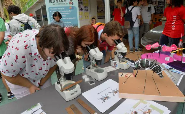 A group of young people observe through a microscope in a Secyt22 workshop. 