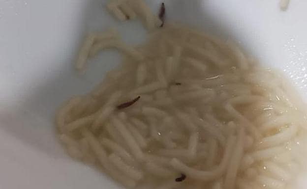 Image of the worms in the soup of one of the doctors at the Hospital de León.