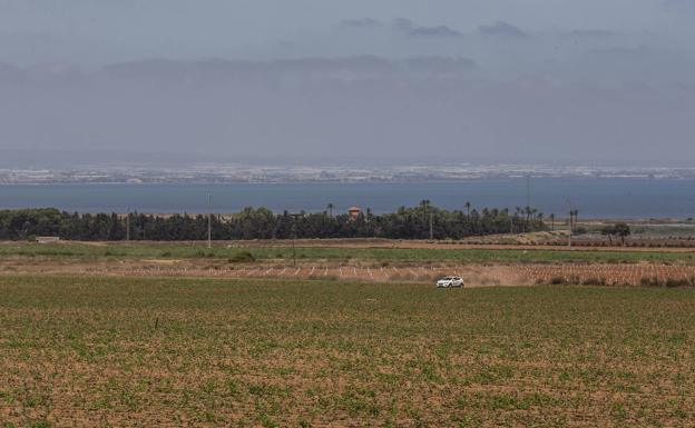 Crops next to the Mar Menor, in a file photo.