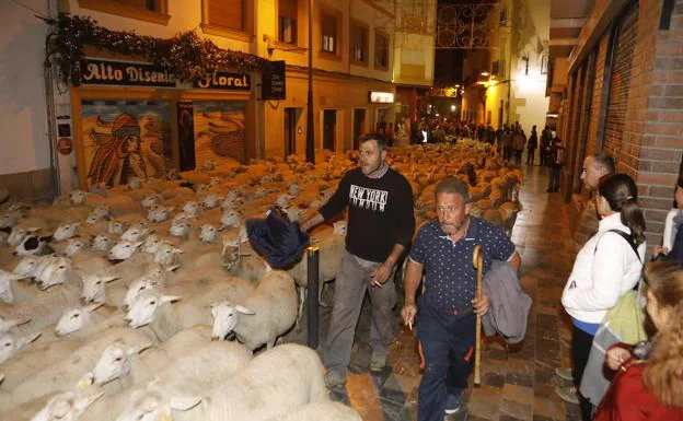 The large herd of goats and sheep and their shepherds walk along Calle Álamo in the direction of the castle. 