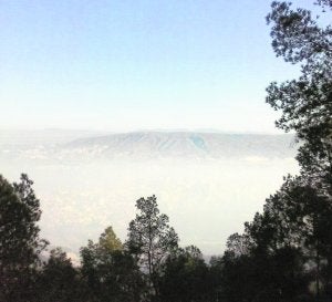 Nubes de humo contra las heladas, y la salud | La Verdad El 'top 5' de los sistemas antiheladas | La Verdad