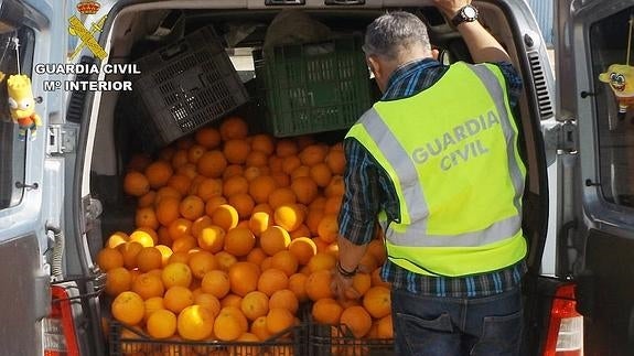Un agente revisa la fruta robada escondida en el maletero de uno de los coches. /